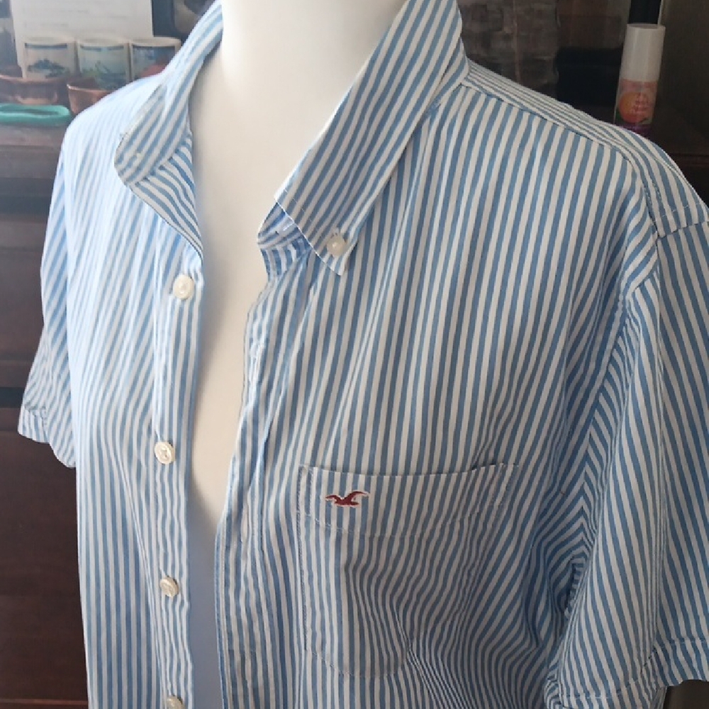 Hollister Blue and White Casual Button Down Shirt